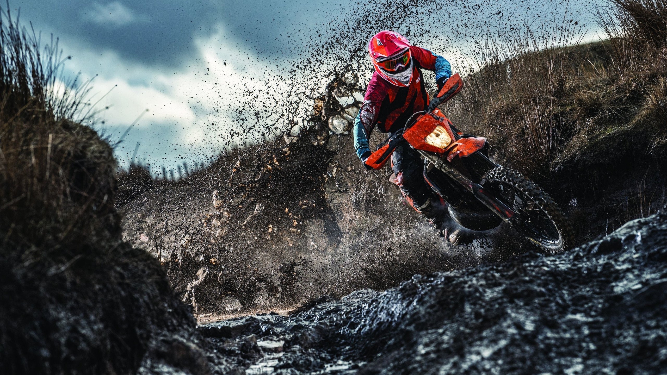 _青少年攀岩挑战：勇攀高峰追逐梦想_，青少年攀岩标准速度赛道